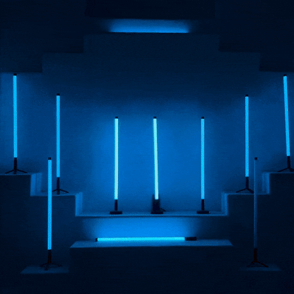 12x MOOD KIT + Free Light/Case MOOD